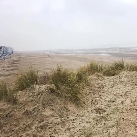 Lägenhet In With Side Sea View